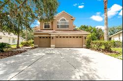 10242 Evergreen Hill Drive, Tampa FL 33647