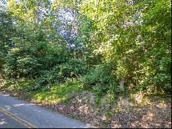 Lot 235 Appalachian Road, Radford VA 24141