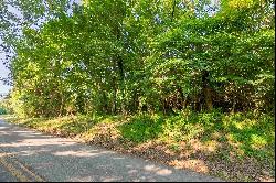 Lot 233 Appalachian Road, Radford VA 24141