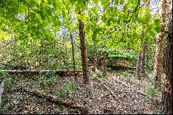 Lot 233 Appalachian Road, Radford VA 24141