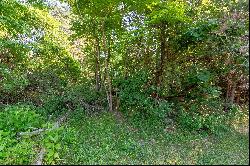 Lot 233 Appalachian Road, Radford VA 24141