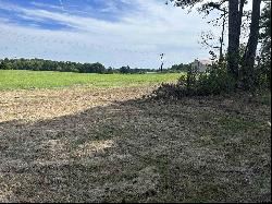 Lot 1 (TBD) Highway 135, Troup TX 75789