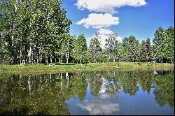 125 Aspen Lakes Dr, Blaine County ID 83333