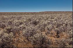 Hanson Valley Road, Christmas Valley OR 97641