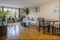 801 S PLYMOUTH Court #306, Chicago IL 60605