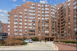 801 S PLYMOUTH Court #306, Chicago IL 60605