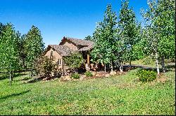 Stunning home nestled on .82 acres just minutes from Woodland Park