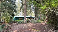 1521 150th Ave SE, Bellevue, WA 98007