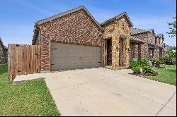 11133 Blaze Street,Aubrey, TX, 76227