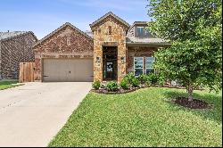 11133 Blaze Street,Aubrey, TX, 76227