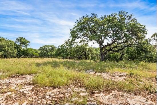 One of the Largest Lots in Desired Subdivision