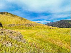 NHN Hwy 28 160 acres, Niarada MT 59845