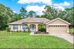 9112 Marcus Road, Weeki Wachee FL 34613