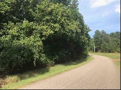 1375 ASBURY DR Lot #22, Unincorporated TN 38068