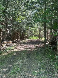 tbd Miles Rd, East Jordan MI 49727