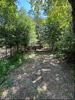 tbd Miles Rd, East Jordan MI 49727