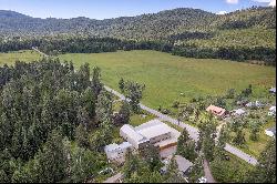 31566 S Ferndale Drive, Bigfork MT 59911