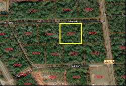 TBD Lot 3 Deerwood Drive, Plantersville TX 77363