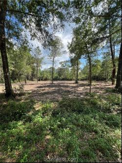 TBD Lot 3 Deerwood Drive, Plantersville TX 77363