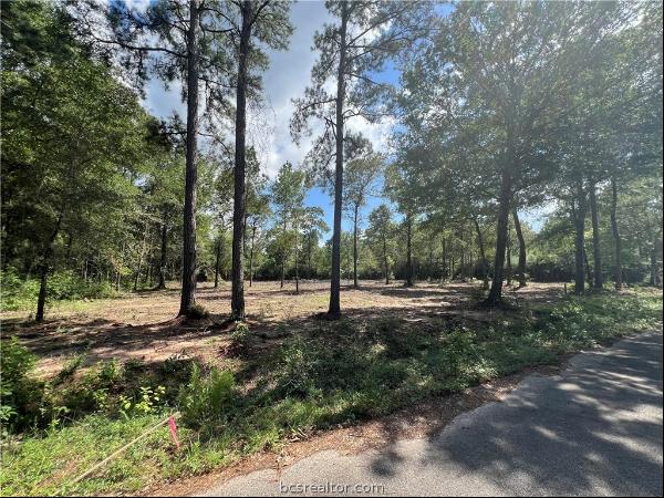 TBD Lot 3 Deerwood Drive, Plantersville TX 77363