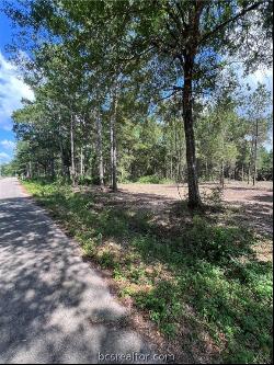 TBD Lot 3 Deerwood Drive, Plantersville TX 77363