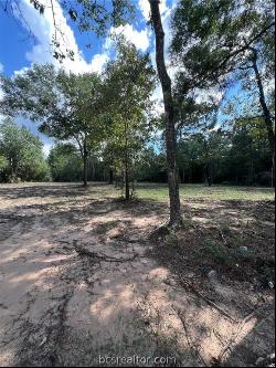 TBD Lot 2 Deerwood Drive, Plantersville TX 77363