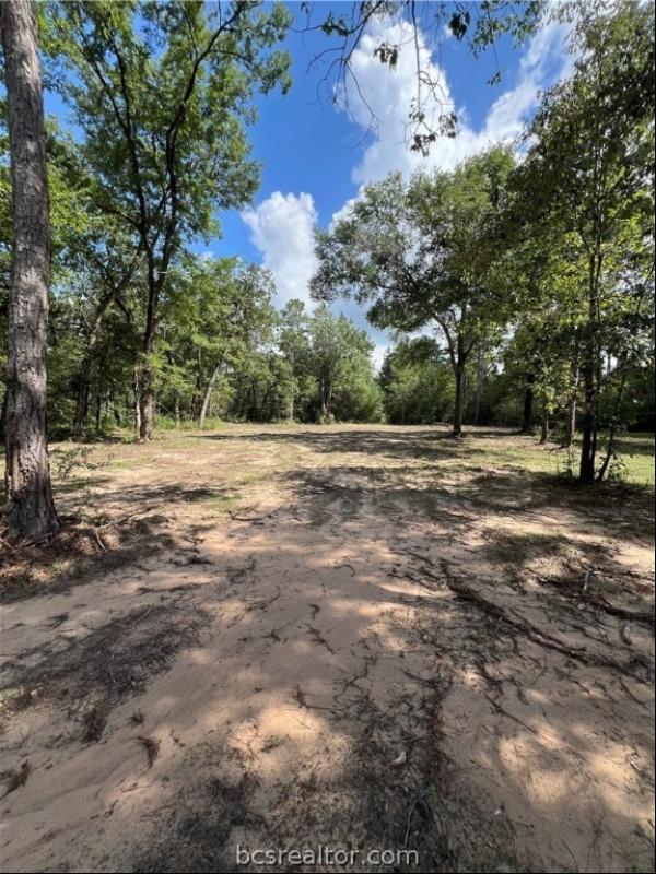 TBD Lot 2 Deerwood Drive, Plantersville TX 77363