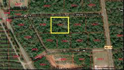 TBD Lot 2 Deerwood Drive, Plantersville TX 77363