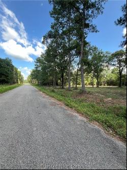 TBD Lot 2 Deerwood Drive, Plantersville TX 77363