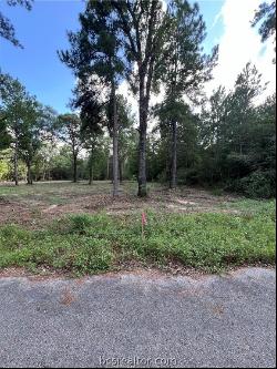 TBD Lot 2 Deerwood Drive, Plantersville TX 77363