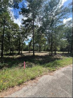 TBD Lot 2 Deerwood Drive, Plantersville TX 77363