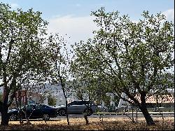 TERRENO FRAY JUNÍPERO SERRA COMERCIAL