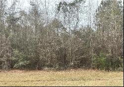 71 acres Highway 17, Townsend GA 31331