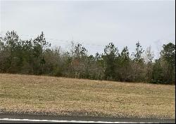 71 acres Highway 17, Townsend GA 31331