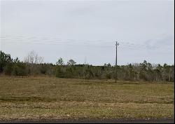 71 acres Highway 17, Townsend GA 31331