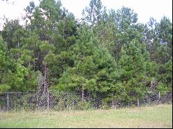 132 acres Highway 57 Highway, Townsend GA 31331