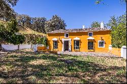 Farmhouse in Corteconcepcion