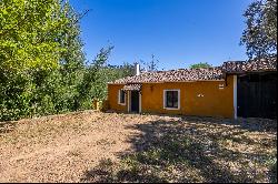 Farmhouse in Corteconcepcion