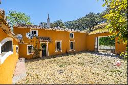 Farmhouse in Corteconcepcion