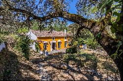 Farmhouse in Corteconcepción