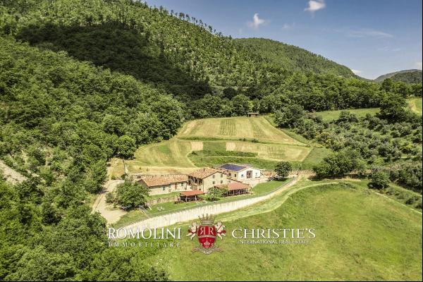 ORGANIC FARM WITH AGRITURISMO FOR SALE IN SANSEPOLCRO, TUSCANY