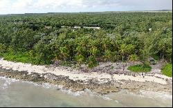 2,300 Acre Tract of Waterfront Land, South Andros - MLS 58236