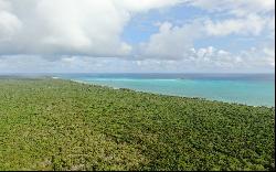 2,300 Acre Tract of Waterfront Land, South Andros - MLS 58236