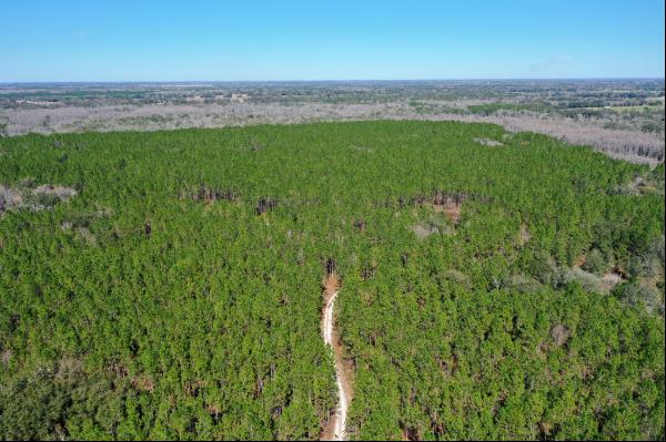 22,409 Acre Conservation Opportunity