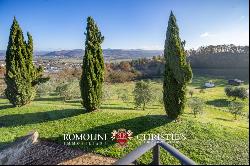 COUNTRY HOUSE WITH RESTAURANT AND VINEYARD FOR SALE IN UMBRIA