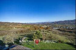 COUNTRY HOUSE WITH RESTAURANT AND VINEYARD FOR SALE IN UMBRIA