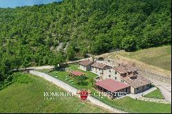 ORGANIC FARM WITH AGRITURISMO FOR SALE IN SANSEPOLCRO, TUSCANY