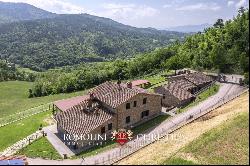 ORGANIC FARM WITH AGRITURISMO FOR SALE IN SANSEPOLCRO, TUSCANY