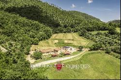 ORGANIC FARM WITH AGRITURISMO FOR SALE IN SANSEPOLCRO, TUSCANY