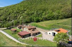 ORGANIC FARM WITH AGRITURISMO FOR SALE IN SANSEPOLCRO, TUSCANY